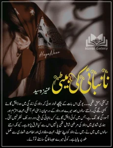 Naan Bai Ki Beti By Aneeza Syed